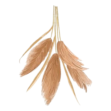 Decorative Floral